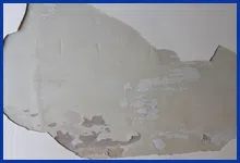 Key Biscayne Restoration Company Key Biscayne, FL 786-309-9751 Key Biscayne Restoration Company Key Biscayne, FL 786-309-9751